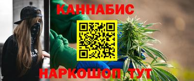 ешки Кингисепп